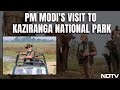 PM Modi In Kaziranga | Elephant Rides To Jungle Safari: PM Modis Visit To Kaziranga National Park