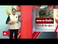 Public Interest: अमरनाथ यात्रा की सुविधा शिवलिंग पर भारी पड़ेगी? | Amarnath Yatra  - 04:27 min - News - Video