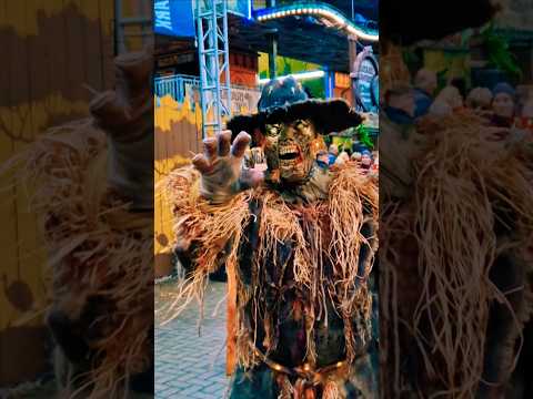 Fühlt ihr mich??? #Halloween2025 #serengetiparkhodenhagen #reiseliebe