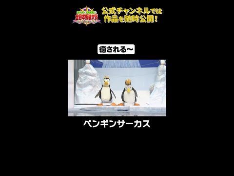 日テレ公式【仮装大賞】ペンギンサーカス #shorts