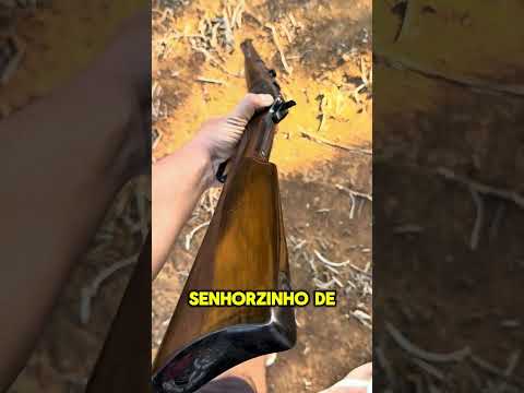 CARABINA ROSSI PUMA 38! #SHORTS