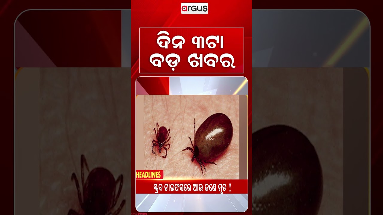 3 PM Headlines | Today Top News | Big Breaking | Odisha Latest Update | Argus News
