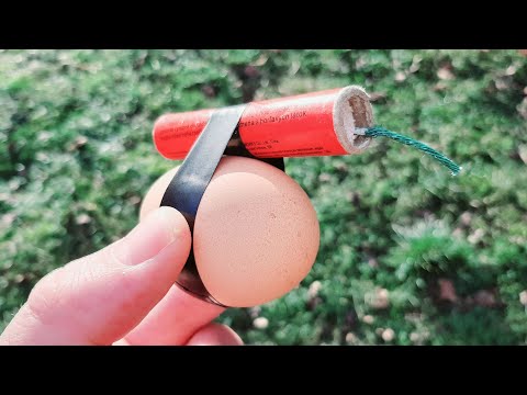 EXPERIMENT Firecracker vs Eggs