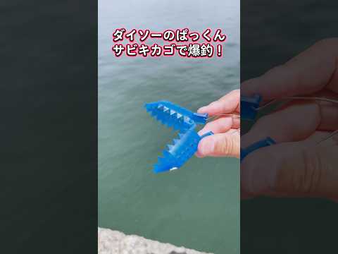 ダイソー釣り具で爆釣！仕掛け代200円で大漁！#釣り #fishing #サビキ釣り ダイソー #海釣り