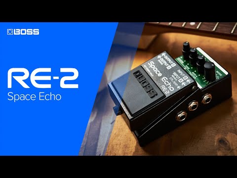Boss RE-2 Space Echo Digital Delay Guitar Effect Pedal