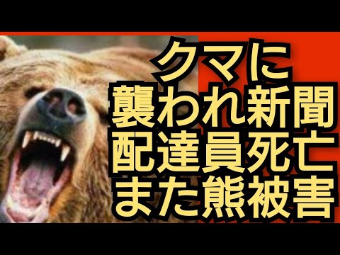 熊に襲われ 新聞配達員死亡‼️日本全国で熊被害多発‼️2025年7月12日‼️！