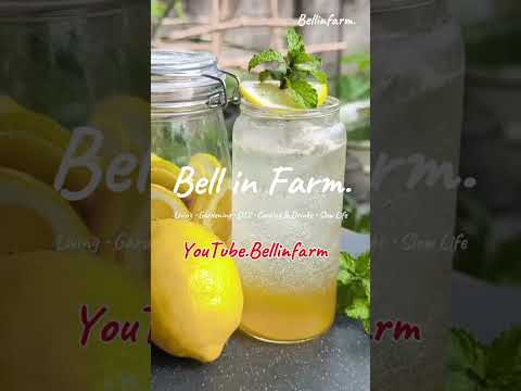 Slow life ในสวนเล็กๆ ของผม ☀️ คลิปเต็มอยู่ใน YouTube: BellinFarm EP.6 #VLOG #Bellinfarm