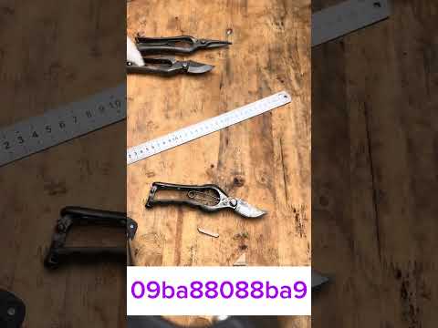 Bonsai tools #bonsai #bonsaitools #bonsaiart