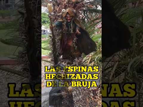 No sabiamos que estaba AQUI😨#viralshort #fypシ゚viral #terrorymisterio #misterio