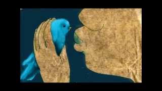 La Colonie Volvox - Blue Bird