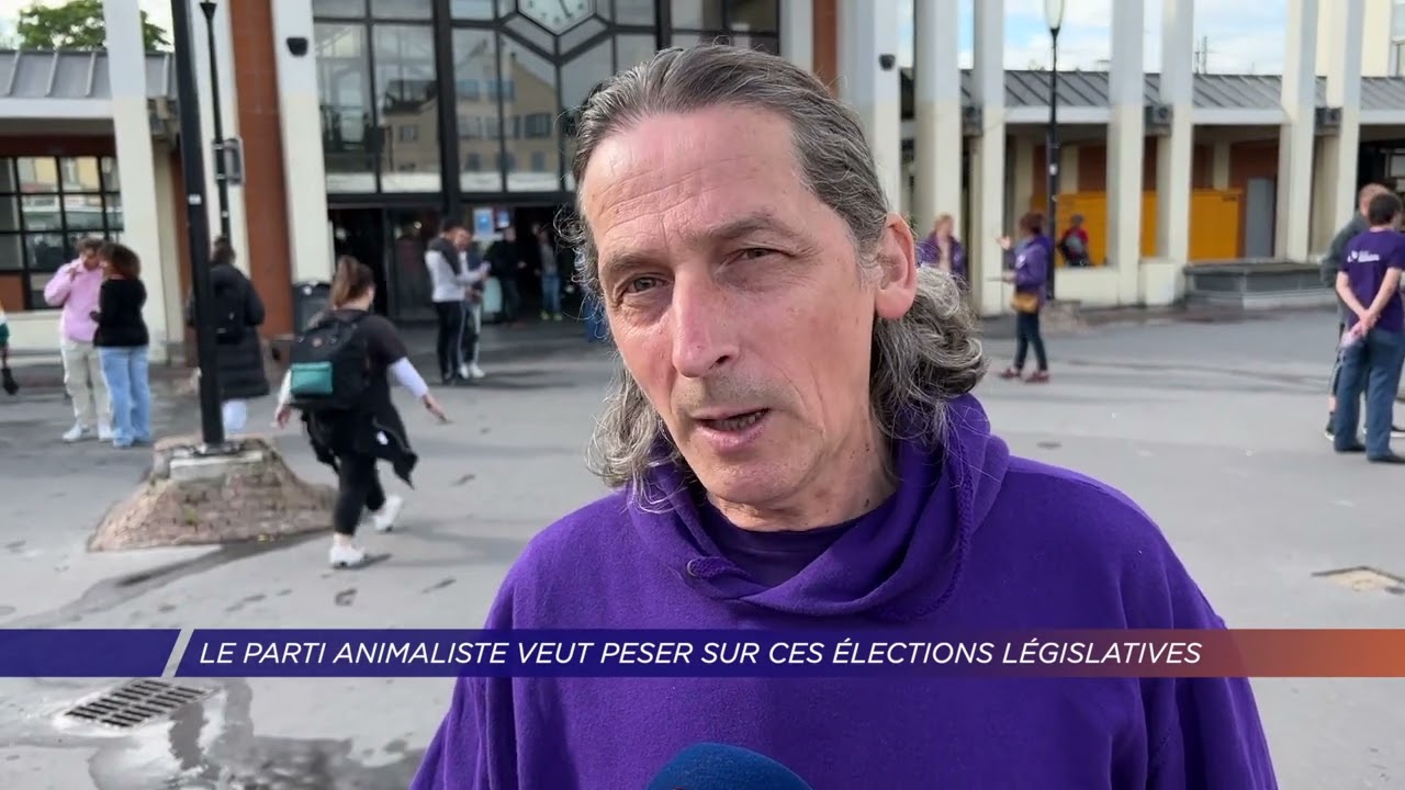 Yvelines | Le Parti Animaliste veut peser sur ces élections législatives