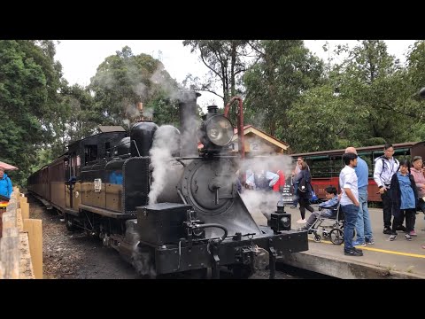 Seeing 14A puffing Billy train at Lakeside