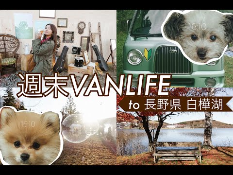 【車中泊】長野県白樺湖へ愛犬と週末バンライフ