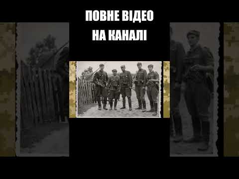 Подвійні стандарти поляків #armylover #army #славазсу #shorts