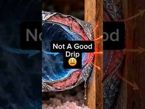 The Worst Kind Of Drip