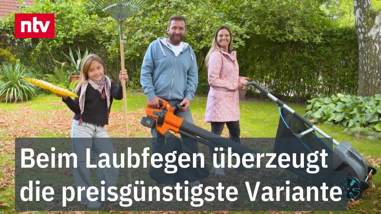 Beim Laubfegen überzeugt die preisgünstigste Variante: Rechen, Sammler, oder Bläser?