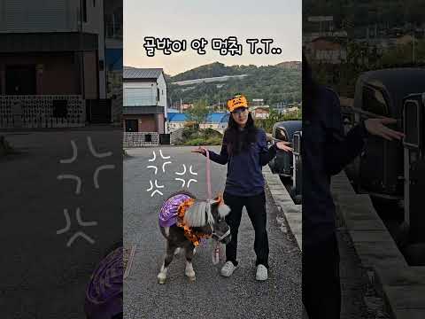 누나 골반 고장났어..?😱🪩요로케 요로케!! Follw me🦄🤣