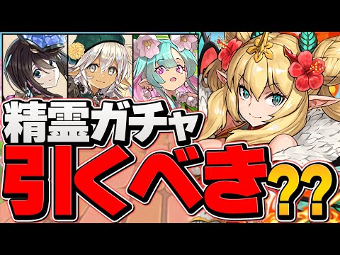 明日開催！星を紡ぐ精霊ガチャは引くべき！？知らないと損！戦国シリーズ強化解説も！【パズドラ】