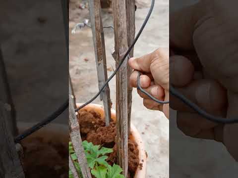 FEEL GOOD 👍 😌 ☺️ & THEN HAPPY 😊  # shorts @nirmal videos