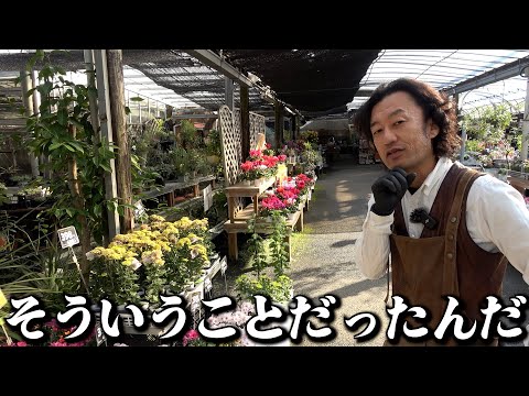 なるほど・・・【カーメン君】【園芸】【ガーデニング】