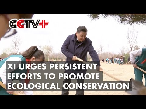 CCTV+: Xi urges persistent efforts to promote ecological conservation during tree-planting activity