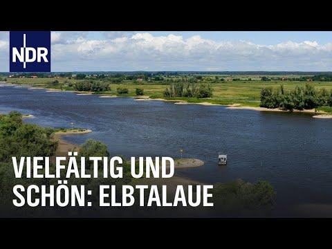 Elbtalaue erleben - vielfältig und schön | die nordstory | NDR