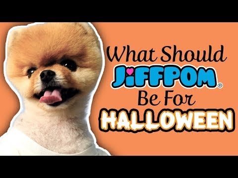 What Should Jiffpom Be For Halloween?