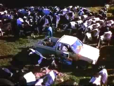 The Price of Milk'