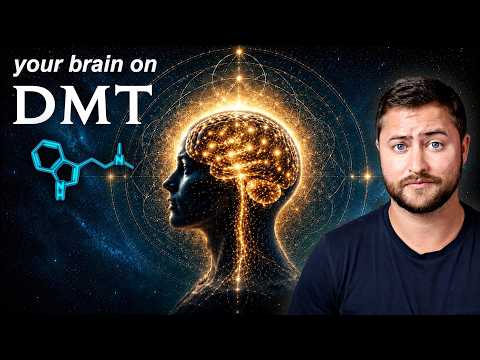 Scientists Scanned the Brain on DMT... and Found This