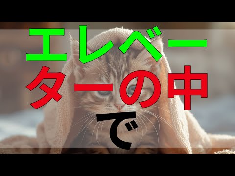テレフォン人生相談 エレベーターの中で起きた予想外の出来事、心に残る一瞬がもたらした衝撃。
