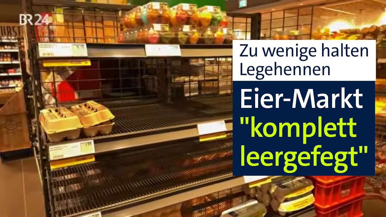 Leere Eier-Regale im Supermarkt: Wenige Legehennen-Landwirte, große Nachfrage | Abendschau | BR24