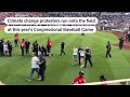 Climate protesters disrupt Congressional Baseball Game | REUTERS