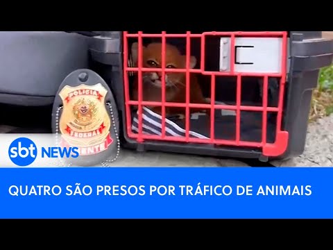 Quatro são presos por tráfico de animais