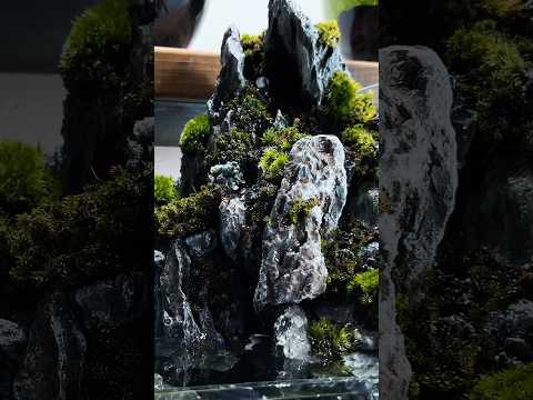 苔むした山を作る。Making a Mossy Mountain. #aquarium #aquascaping #苔テラリウム #メダカ