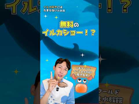 猫の動画サムネイル - 無料のイルカショーが見られる🐬🐬🐬#水族館