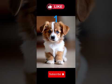 1 or 2 comment yours