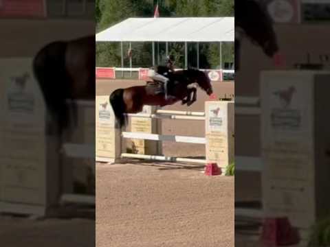 Clear and 6th in the 1.40 division today in the 1.40/1.30 combined 💓💓💓