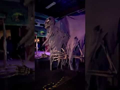 Spooky season #halloween #halloweenhorrornights