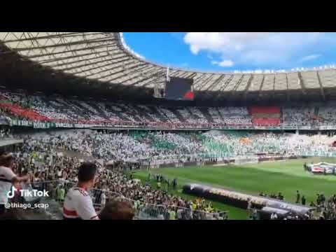 Show da Mancha Verde no Mineirão! Palmeiras x São Paulo.