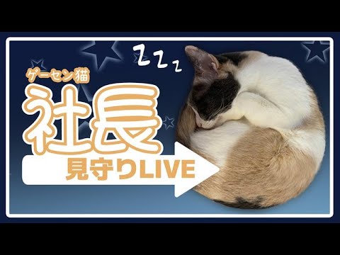 thumbnail_P47LDLPYN8M