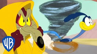 Looney Tunes - Kojot va poas