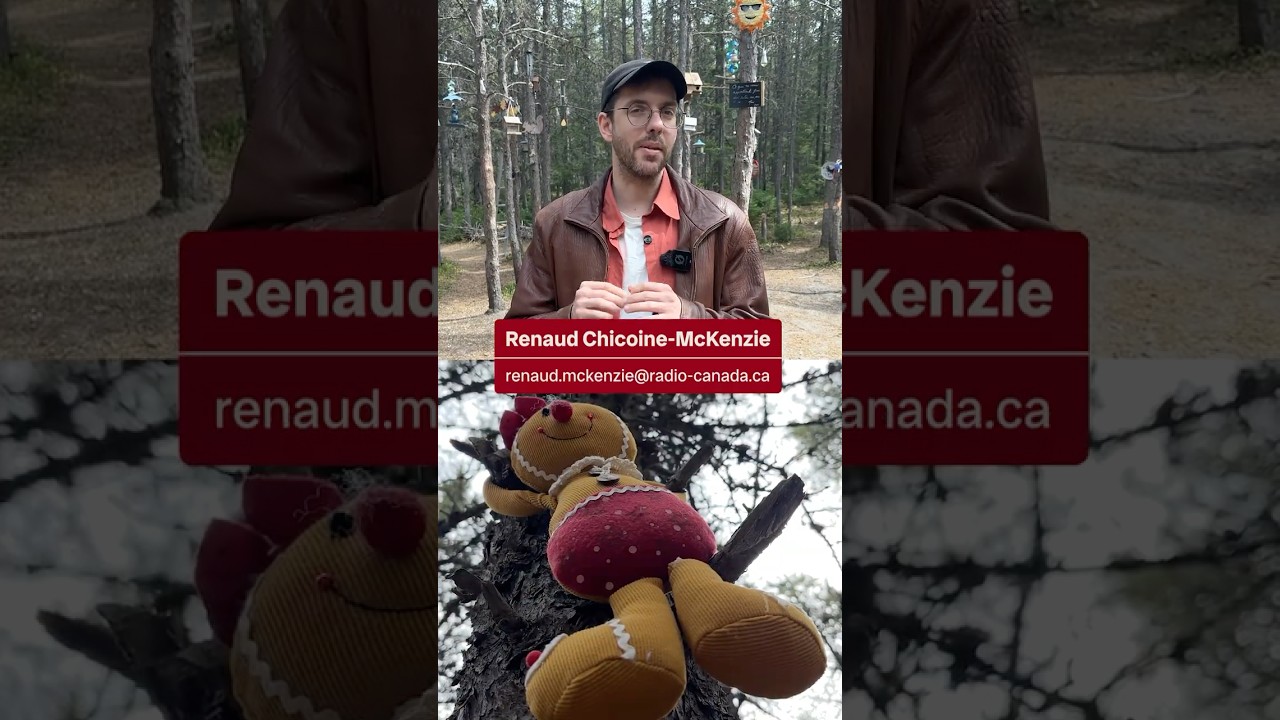 Les toutous de la discorde dans un parc de Sept-Îles | Vidéojournal