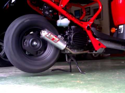 Honda ruckus drd exhaust #5