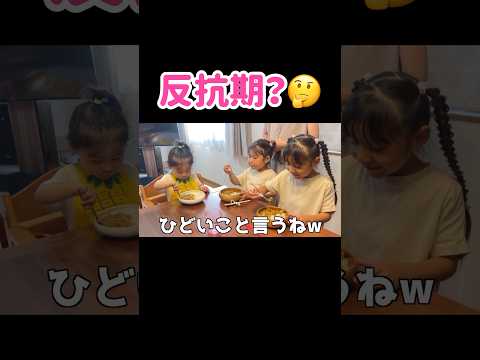 典型的な天邪鬼ムーブをかますイヤイヤ期の２歳長男🙄