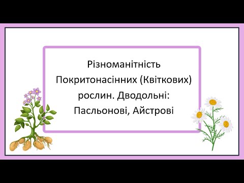 Різноманітність Покритонасінних. Дводольні рослини. Родини Пасльонові, Айстрові