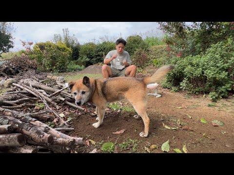 愛犬と庭キャンプ。静かな秋の休日