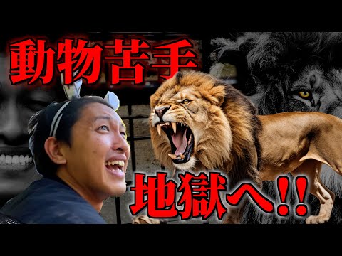サファリパークで、ライオンさんに片腕を喰わせてみよう！！