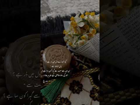 Main Akela Aur Masail Zindagi Ke Be Shumaar shortvideo #mahrukh000 #islamiqoutes #ytshorts#viral