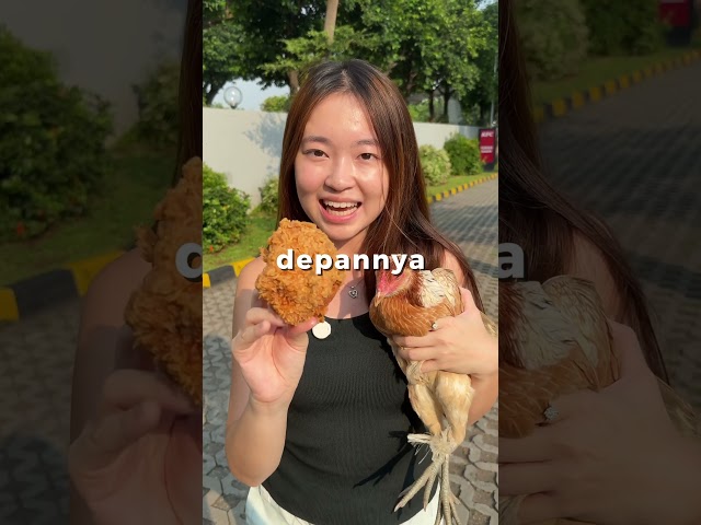 Apa jadinya kalo gw makan ayam goreng di depan ayamnya langsung?🤔🤔