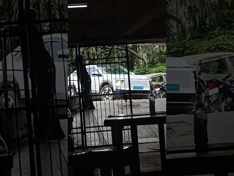 Mahindra XEV 9E 🔋 Powerful LED Projector Headlamps 😍 #mahindra #mahindraxev9e #xev9e #mahindraev #ev